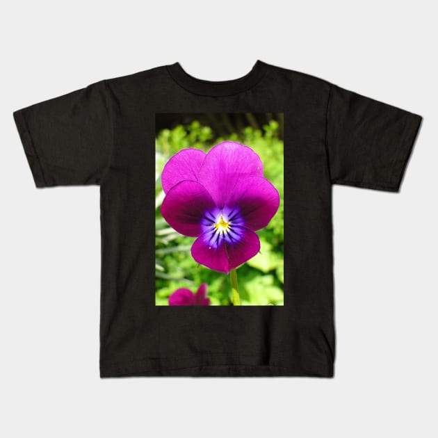 Wild Pansy Kids T-Shirt by AH64D